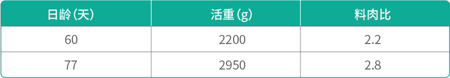5.正常型“铁脚麻”   配套系2.jpg