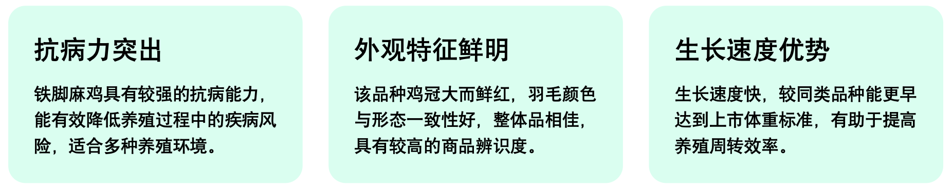 铁脚麻商品鸡核心优势.png