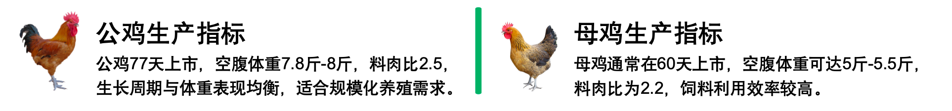 商品鸡生产指标.png