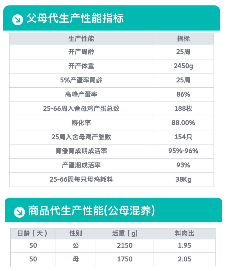 K996配套系.png
