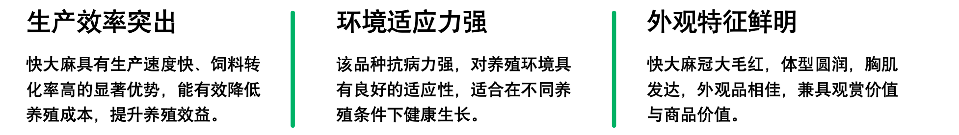 K996配套系鸡特性.png