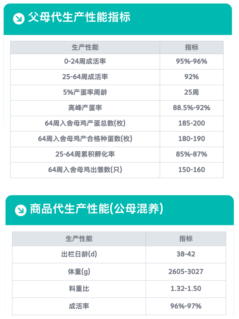 广明2号.png